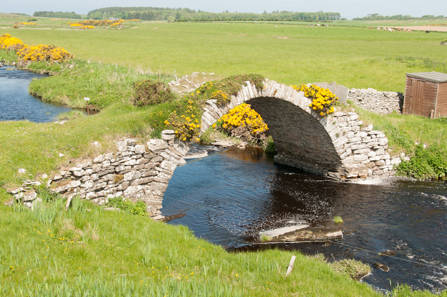 Old Bridge of Forss